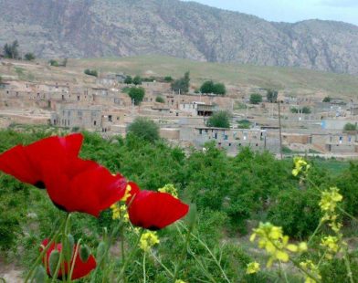 سیروان پیگیر؛ صدای مردم، دیده‌بان حقیقت