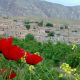 سیروان پیگیر؛ صدای مردم، دیده‌بان حقیقت