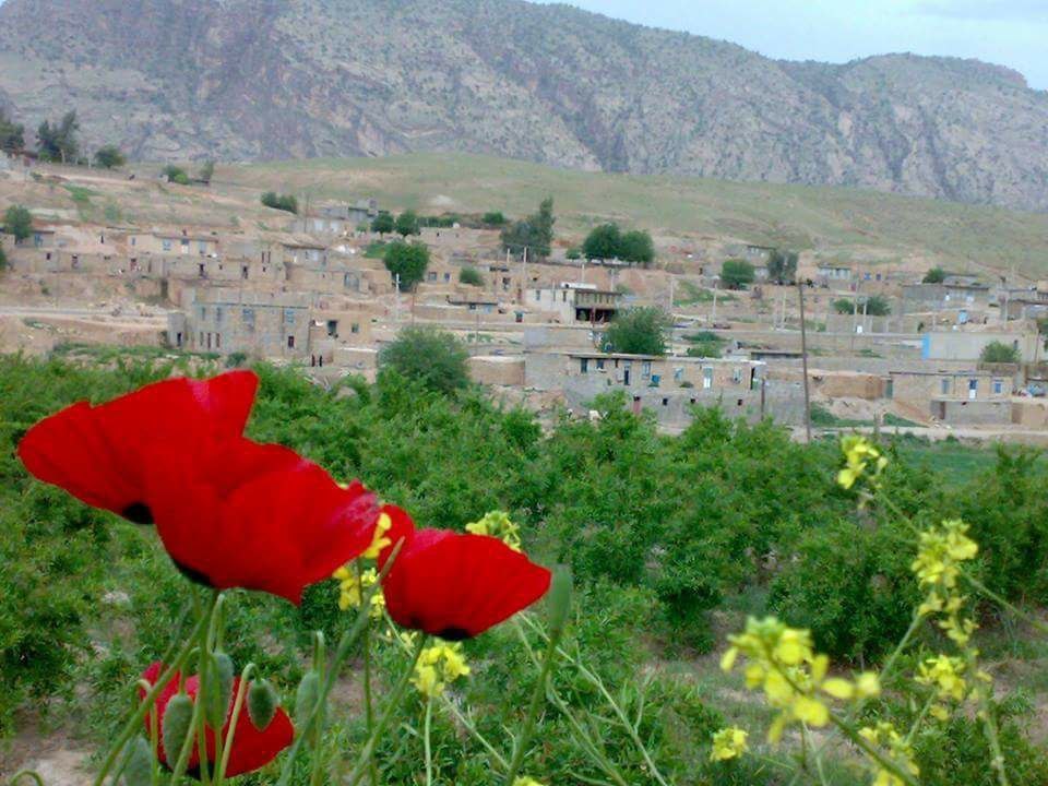 سیروان پیگیر؛ صدای مردم، دیده‌بان حقیقت